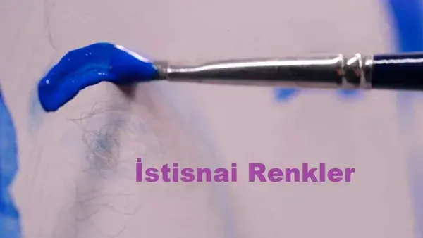 İstisnai Renkler